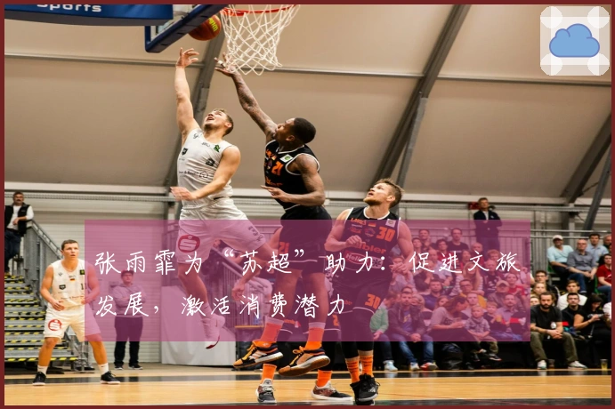 张雨霏为“苏超”助力：促进文旅发展，激活消费潜力