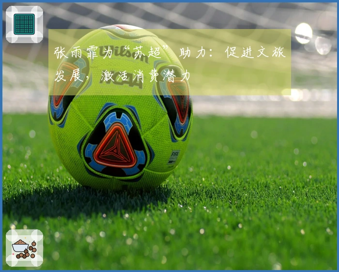 张雨霏为“苏超”助力：促进文旅发展，激活消费潜力