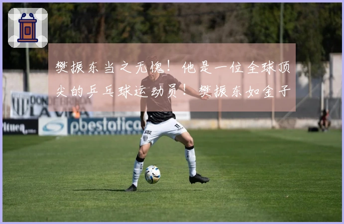 樊振东当之无愧！他是一位全球顶尖的乒乓球运动员！樊振东如金子般无处不在地发光！